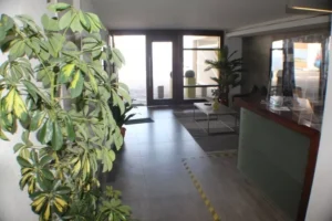 D_NQ_NP_2X_700516-MLC53565489813_022023-F