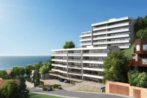 D_NQ_NP_2X_717466-MLC53565516745_022023-F