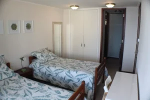 D_NQ_NP_2X_951907-MLA54367235313_032023-F