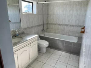 D_NQ_NP_650702-MLC71356523987_082023-O