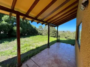 D_NQ_NP_689578-MLC71356523979_082023-O