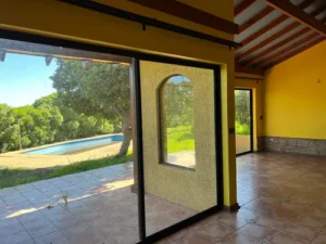 D_NQ_NP_811711-MLC71313650790_082023-O