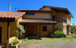 D_NQ_NP_846015-MLC71356788187_082023-O