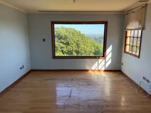 D_NQ_NP_865475-MLC71313768430_082023-O