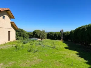 D_NQ_NP_902296-MLC71313650856_082023-O