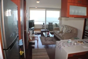 D_NQ_NP_992962-MLC53565461962_022023-F