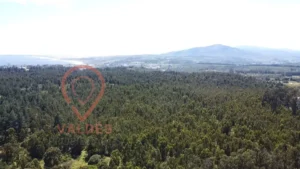 D_NQ_NP_2X_651670-MLC71986411503_092023-F