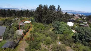 D_NQ_NP_2X_831603-MLC71930694078_092023-F