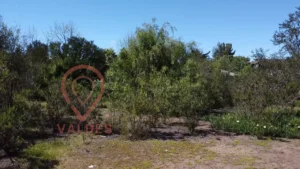 D_NQ_NP_2X_886832-MLC71986382195_092023-F