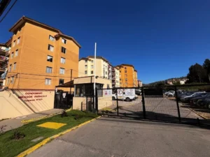 D_NQ_NP_2X_645763-MLC74153773643_012024-F