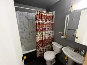 D_NQ_NP_2X_872391-MLC74153773645_012024-F