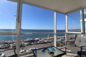 D_NQ_NP_2X_981156-MLC73320386004_122023-F