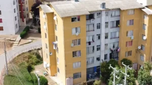 D_NQ_NP_649865-MLC74153823463_012024-F