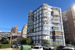 D_NQ_NP_722418-MLC73408684879_122023-F