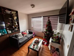 D_NQ_NP_731636-MLC74154244797_012024-F