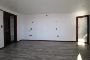 D_NQ_NP_755023-MLC73899529917_012024-F