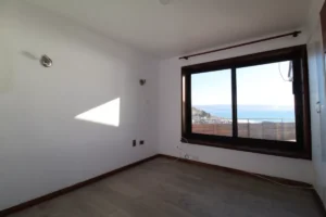 D_NQ_NP_766865-MLC73800232280_012024-F