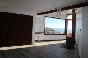 D_NQ_NP_906957-MLC73899529723_012024-F